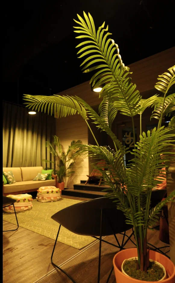 Lounge area at Sauna Culture Charlotte — sofa, palm plant, and floor cushions for resting between sauna rounds